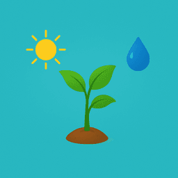 What Do Plants Need?